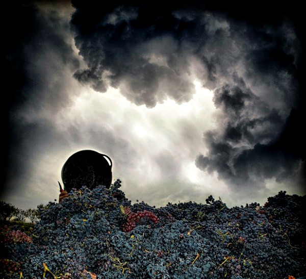 Curso sobre la influencia del cambio climático en el viñedo