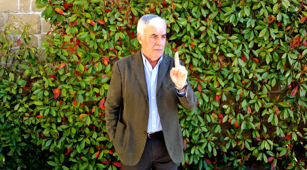 Viñedos Rioja Alavesa Martinez Toda