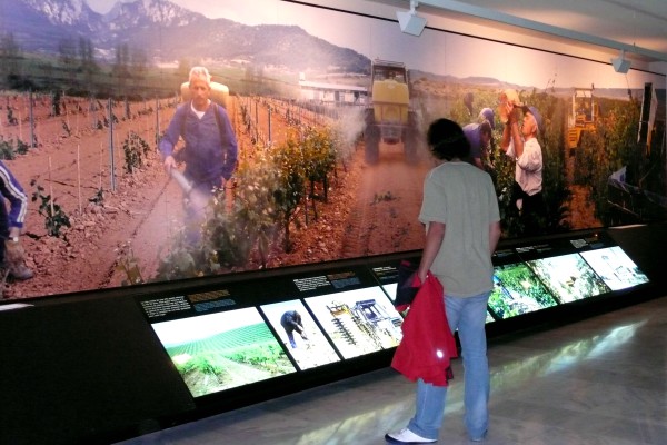 El Enoturismo
