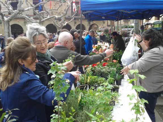 Mercado de la Flor en Elciego