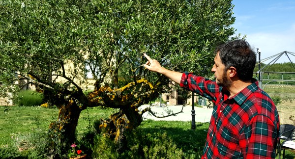 Agricultura en Rioja Alavesa