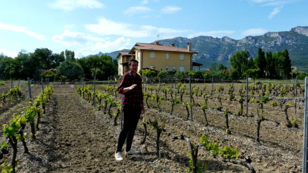 Agricultura en Rioja Alavesa