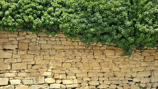 Agricultura en Rioja Alavesa