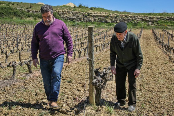 Bodega familiar en Rioja Alavesa