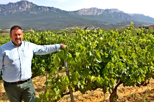 Candidatura de Rioja Alavesa y La Rioja a Patrimonio Mundial