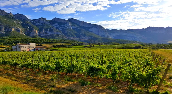 Curso de Verano de la UPV/EHU en Rioja Alavesa