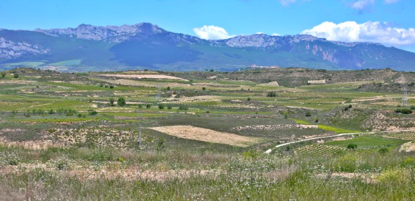 Toponimia de los pueblos alaveses