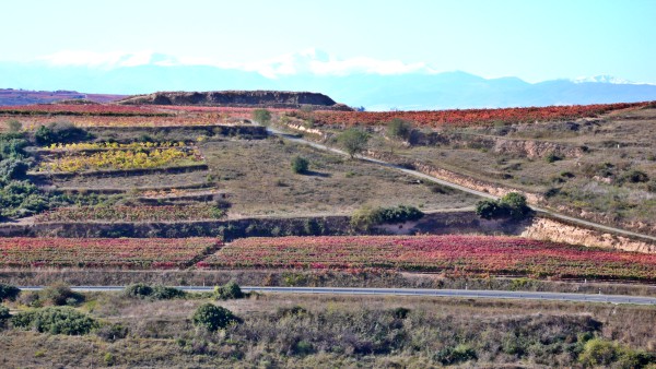 Toponimia de los pueblos alaveses