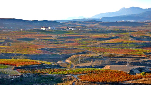 Toponimia de los pueblos alaveses