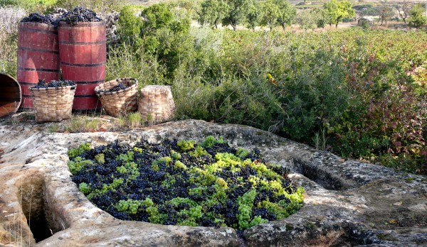 Lagares rupestres de Rioja Alavesa
