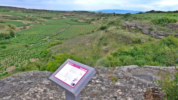 Lagares rupestres de Rioja Alavesa