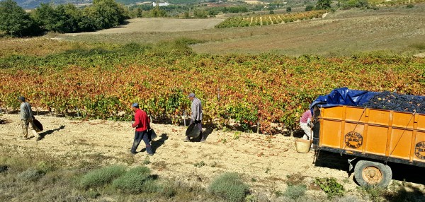 Subida de precios en Rioja Alavesa