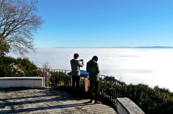  Paisaje Cultural de la Vid y del Vino