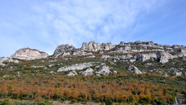 Eskuernaga