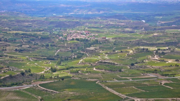 Atlas de las viñas de Rioja Alavesa