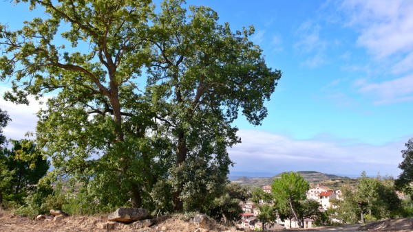 Eskuernaga