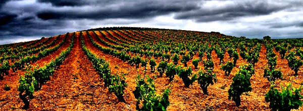 Consejo Regulador Rioja Alavesa