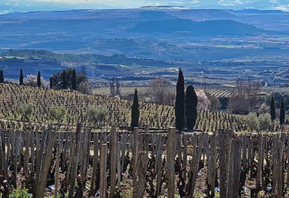 LA-TOSCANA