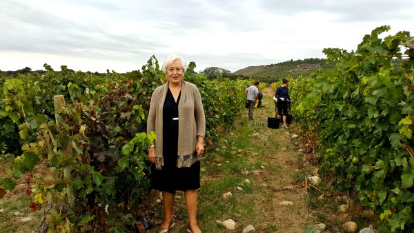 Paisaje Cultural del Vino y el Viñedo de Rioja Alavesa