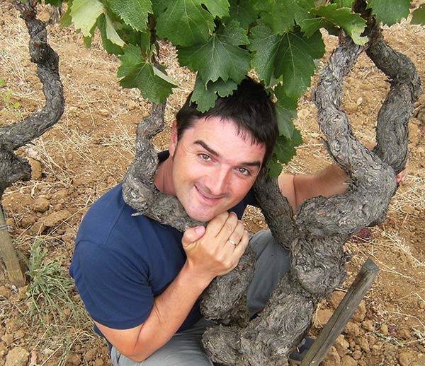 Jornada de Viticultura Julián Palacios