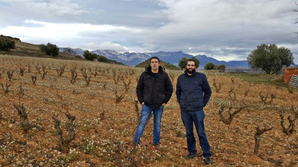 Rioja 2020 Special Report de Tim Atkim