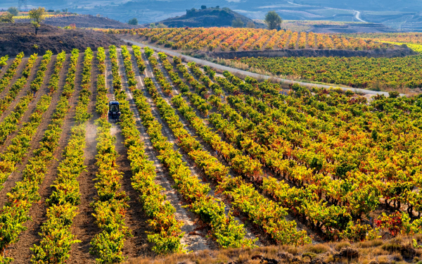 3º-en-VINA