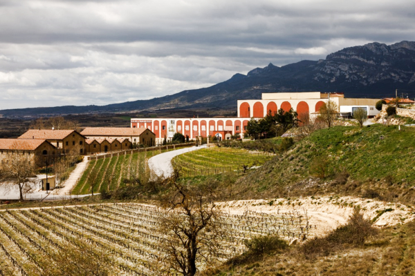Diálogo de la Bodega
