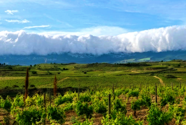 LA PAZ DE CADA DÍA