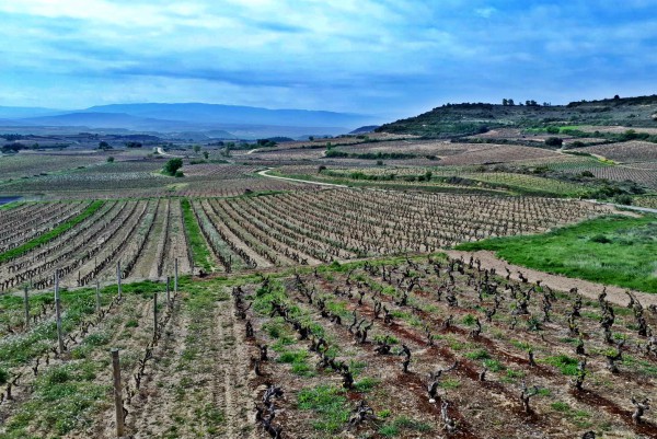 Paisaje Cultural de Rioja Alavesa Paisaje Cultural de Rioja Alavesa