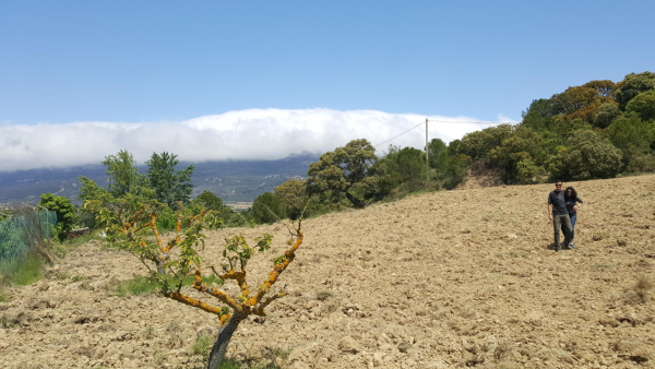 Vina-Sierra
