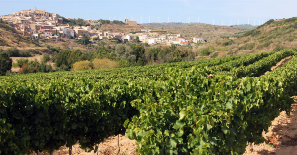 Vinas-San-Martin