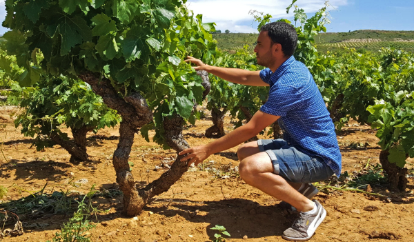 Bodegas Altún