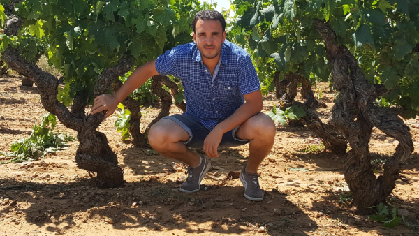Bodegas Altún
