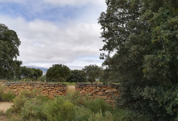 Rioja Alavesa en 2030 Rioja Alavesa en 2030