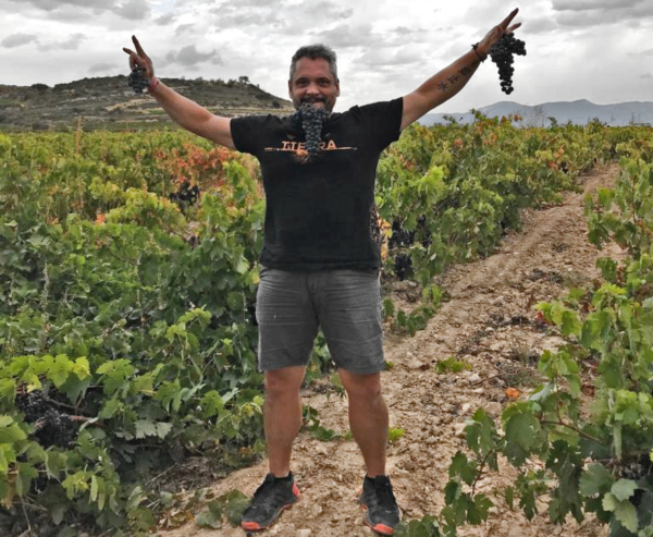Vendimia de Rioja Alavesa