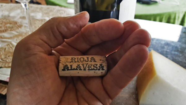 Vendimia de Rioja Alavesa