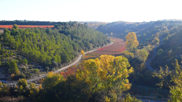 Biodiversidad de Rioja Alavesa