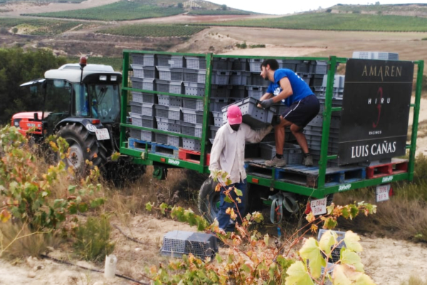 Bodegas Amaren