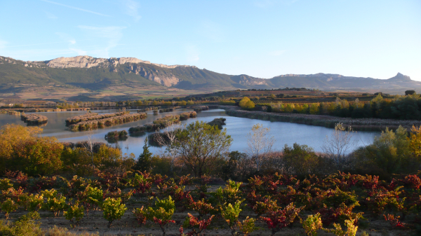 Biodiversidad de Rioja Alavesa