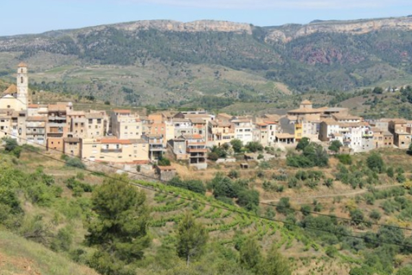 Rioja Alavesa y Priorat