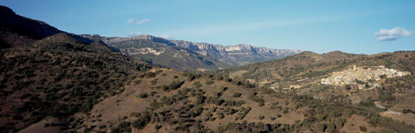 Rioja Alavesa y Priorat