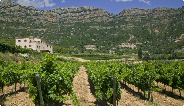 Rioja Alavesa y Priorat