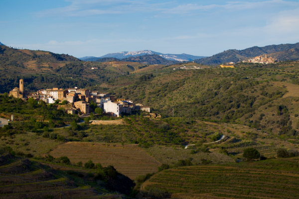 Rioja Alavesa y Priorat