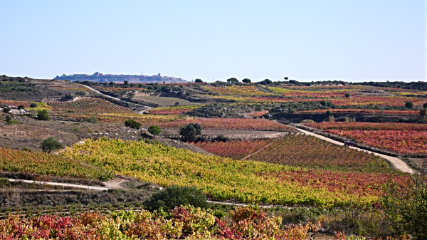 Rioja Alavesa y Priorat