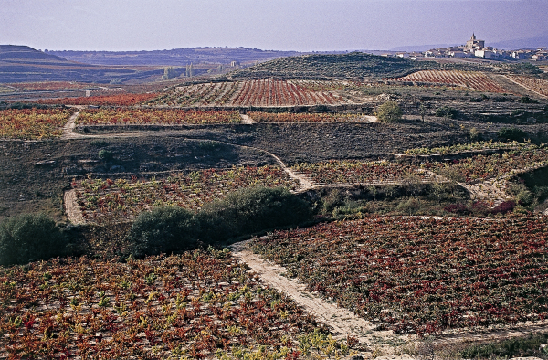 Rioja Alavesa y Priorat