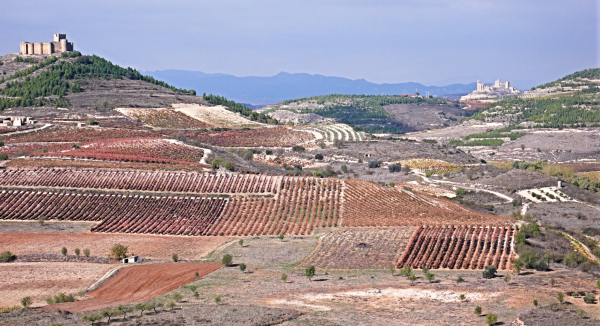 Rioja Alavesa y Priorat