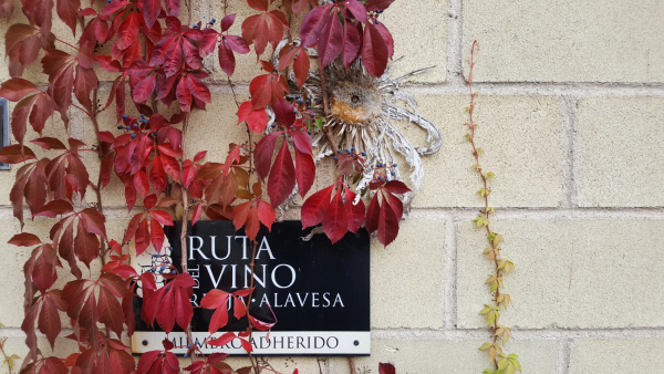 Visit Rioja Alavesa