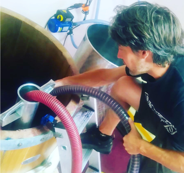 Vendimia de Rioja Alavesa