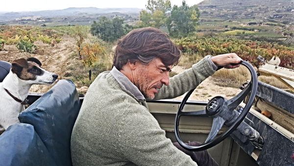 Telmo Rodríguez
