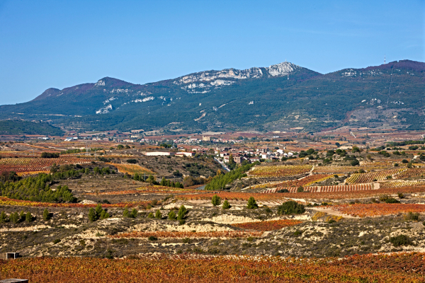 Rioja y Priorat